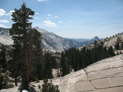 Yosemite National Park