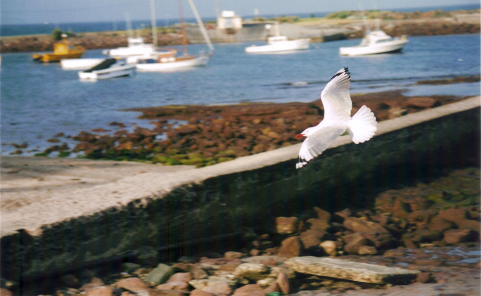 Australia on the road