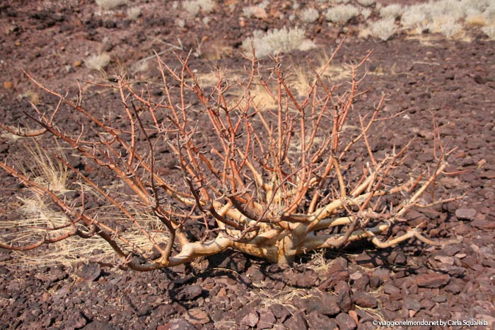 Viaggi Namibia - Burnt Mountain