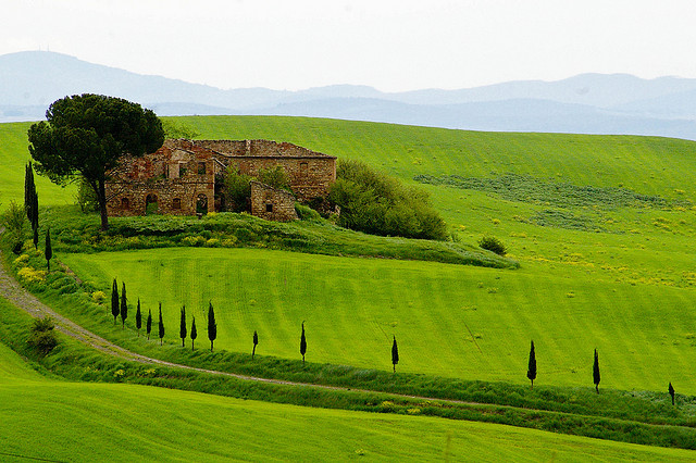 Terre di Siena