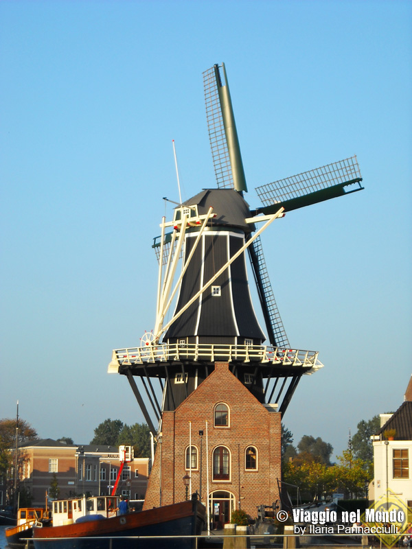 Haarlem - Mulino D Adriaan