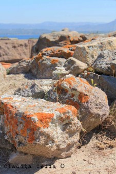 sardegna d'inverno