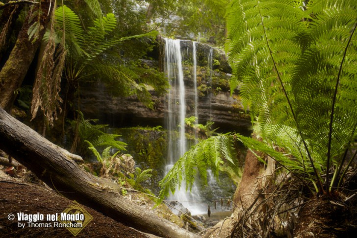 tasmania, viaggi