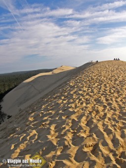 Duna di Pilat