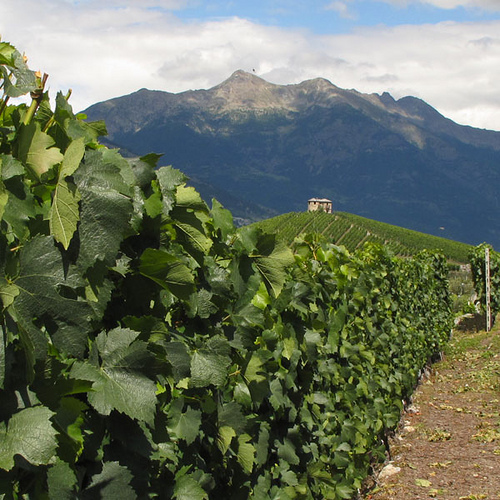 Valle d'Aosta, strada del vino