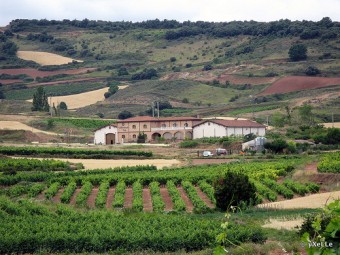 Il Cammino di Santiago