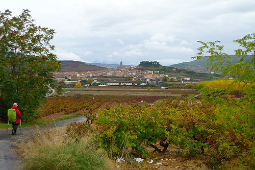 Il Cammino di Santiago: Logrono