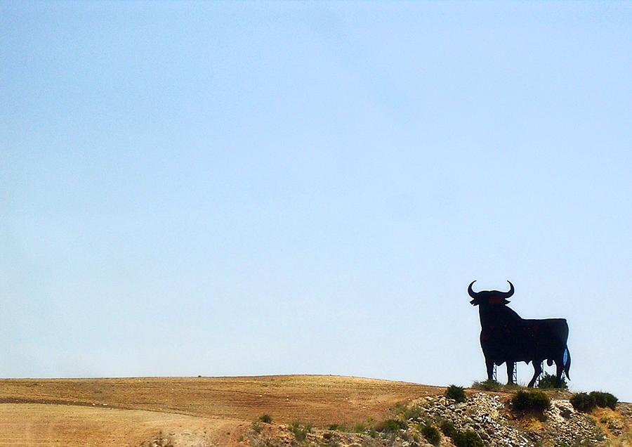 Il Cammino di Santiago: Toro di Osborne