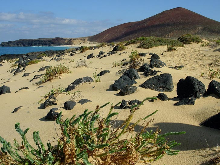 spiagge Canarie