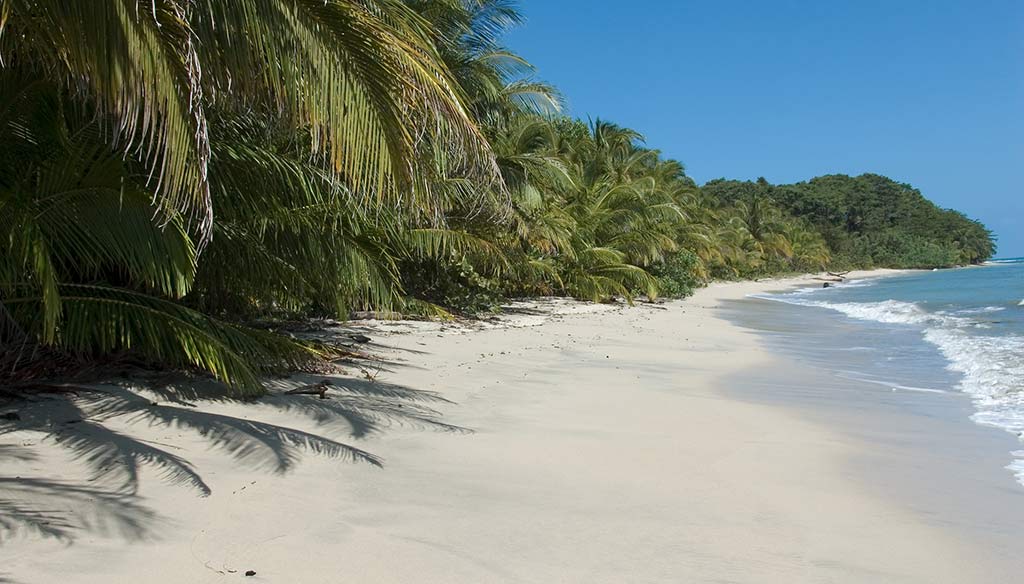 Costa Rica, spiaggia Parco Nazionale Cahuita