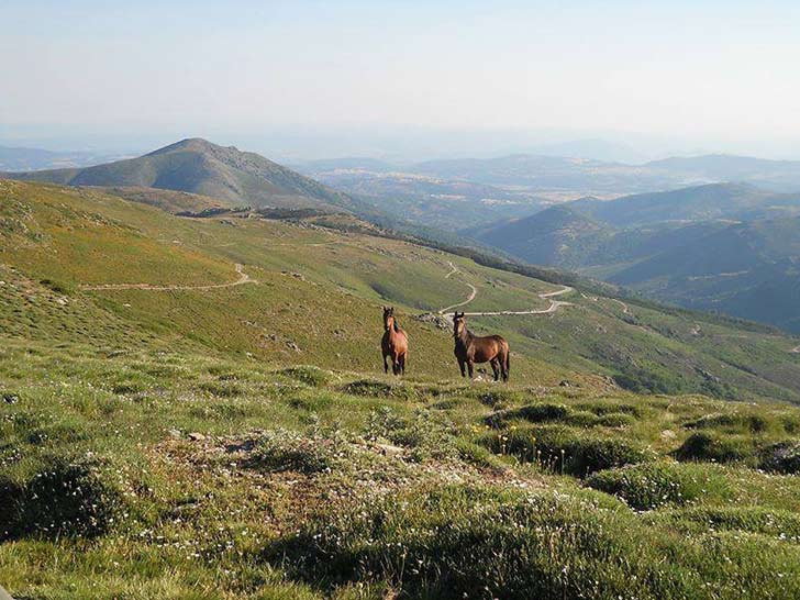 Bruncu Spina, Sardegna