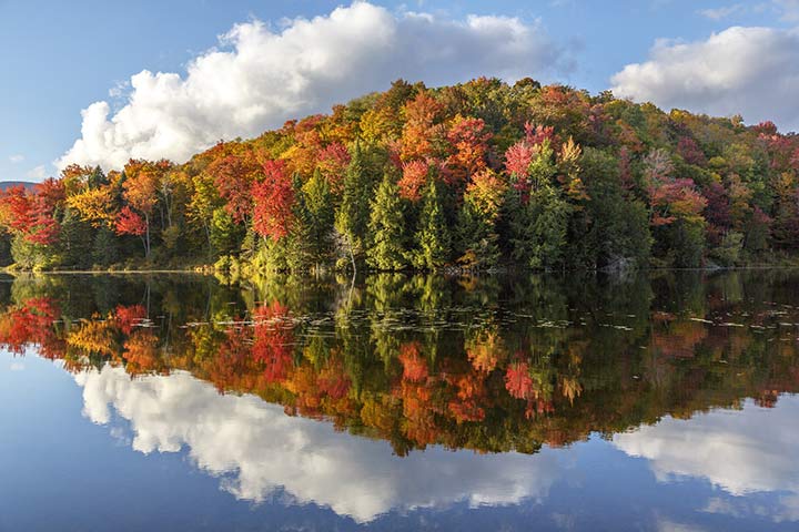 Vermont 2016 Foliage