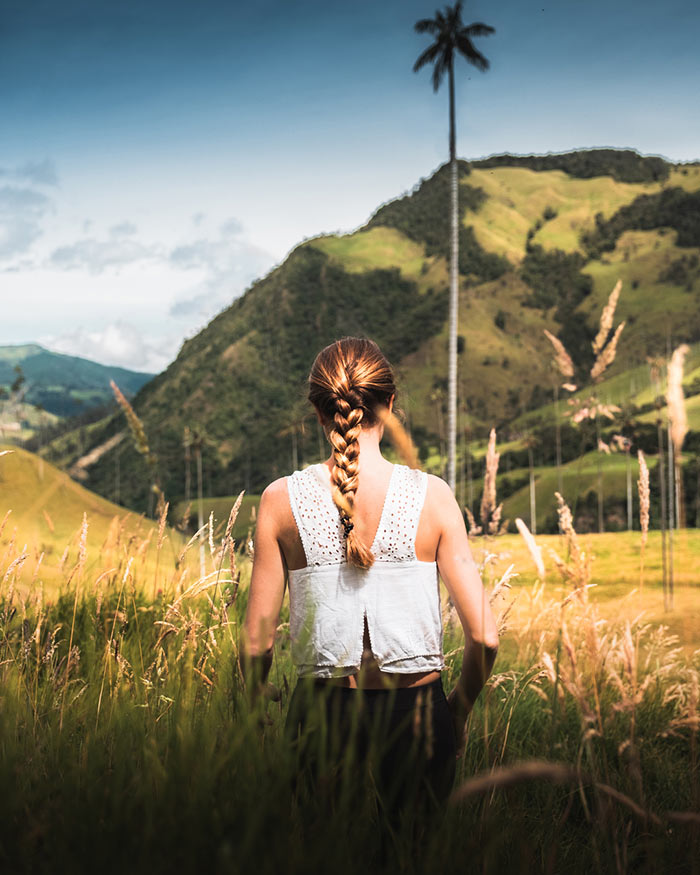 Valle del Cocora, Colombia