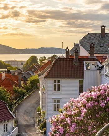 Cosa vedere in Norvegia: mercato pesce Bergen